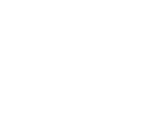 Brand logo of Boscov's