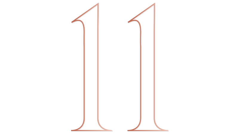 The number 11