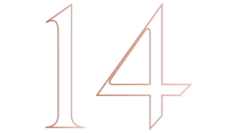 The number 14